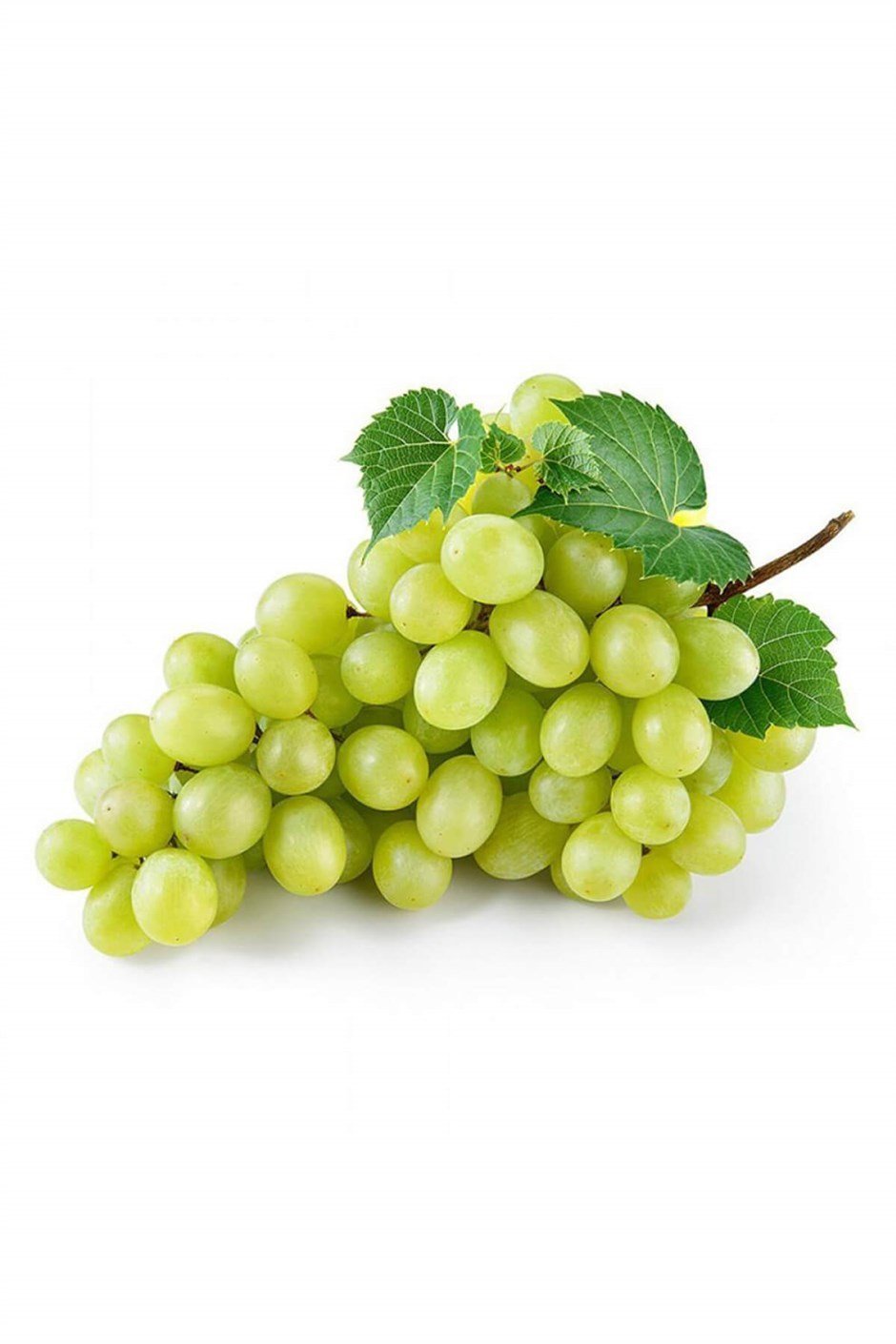 ÜZÜM